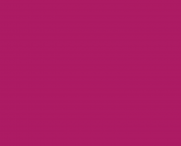 Nulla consectetur nisi